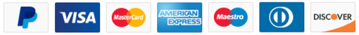 Pagamenti con Visa Mastercard Maestro Diners American Express Discover PayPal