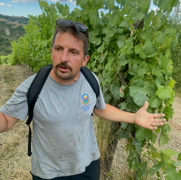 Nicola Nardone e la caparbietà di produrre vini unici
